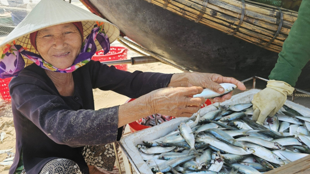 Những chuyến biển vui đầu năm