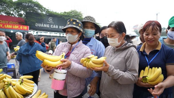 Ấm lòng những trái chuối chín của Công ty Unifarm Bình Dương