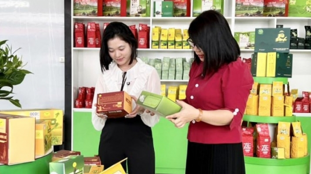 Sắp diễn ra Hội chợ triển lãm 'Công Thương - OCOP Thái Nguyên 2024'