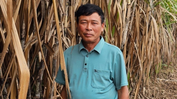 Điều ước của 'tỷ phú mía' xứ Thanh