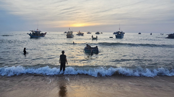 Ngư dân bãi ngang Nhân Trạch thu bội tiền mỗi ngày
