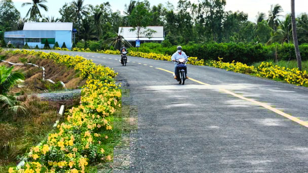 Cù Lao Dung được công nhận huyện nông thôn mới năm 2023