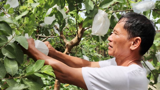 Đi sau thôi, nhưng kiểu mẫu đấy!