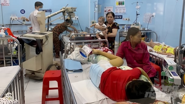 TP.HCM ghi nhận 4.600 trường hợp mắc sốt xuất huyết
