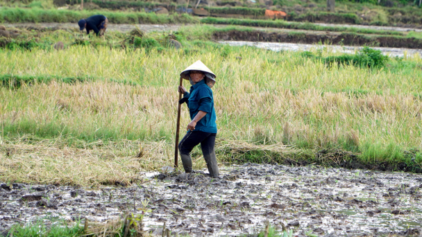 Xây dựng Nông thôn mới Quảng Trị còn nhiều khó khăn