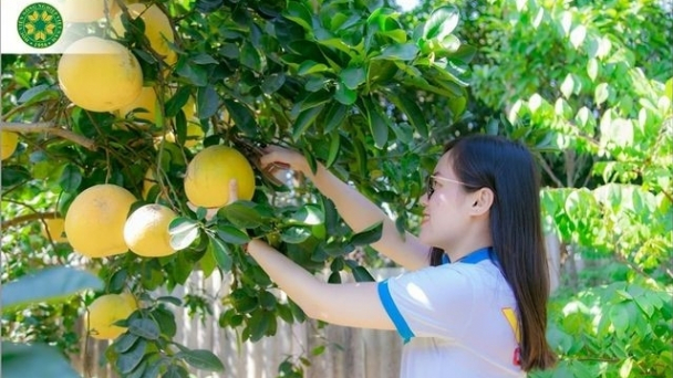 Ngành học Kinh tế nông nghiệp - Cơ hội việc làm rộng mở