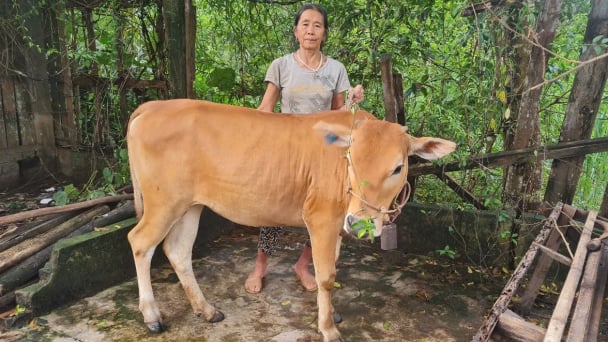 Chương trình MTQG giảm nghèo bền vững lan tỏa tại miền Tây xứ Nghệ