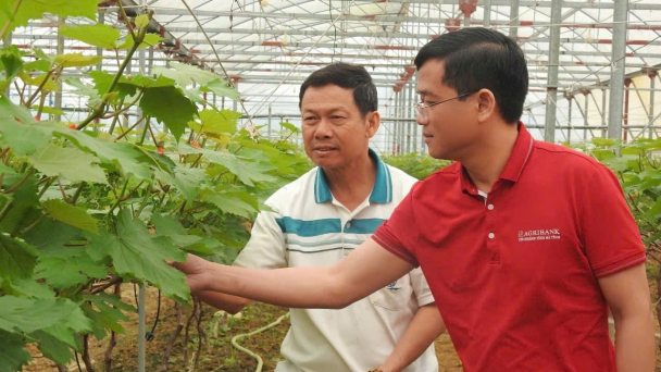 Quyết tâm vay tiền hồi sinh vùng đất ‘chó ăn đá gà ăn sỏi’