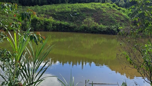 Mường Luân phát triển thủy sản, tạo sinh kế để giảm nghèo
