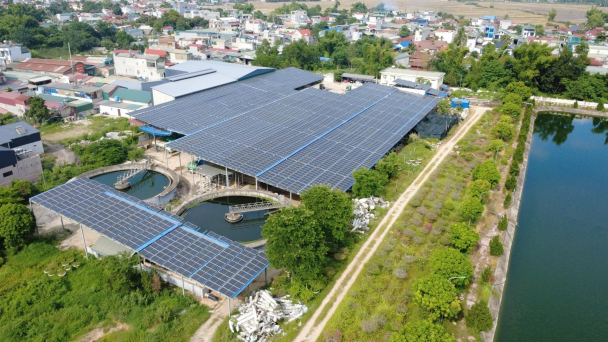 Điện Biên lan tỏa phong trào bảo vệ môi trường từ cơ sở