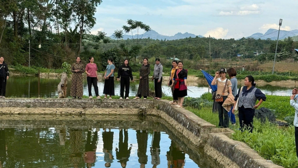 Chi hội nông dân nuôi cá thương phẩm ở Sáng Nhè