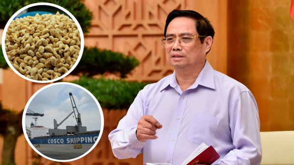 Thủ tướng chỉ đạo 4 bộ vào cuộc vụ nghi lừa đảo xuất khẩu điều