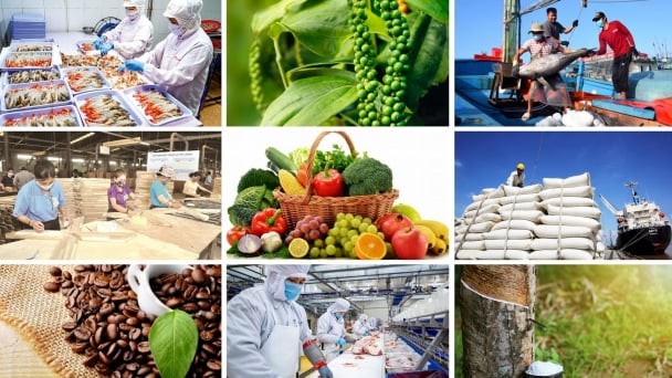 Xuất siêu nông sản 4 tháng đạt gần 4 tỷ USD