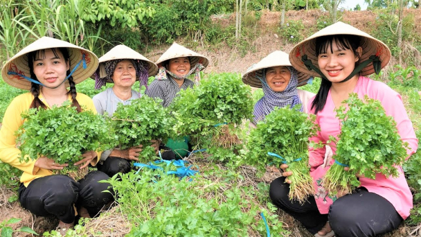 Cải thiện tiêu chuẩn chất lượng tăng sức cạnh tranh gia vị Việt tại EU