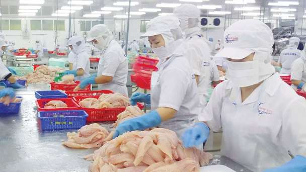 Xuất khẩu thủy sản sang Trung Quốc tăng 100% nhờ RCEP