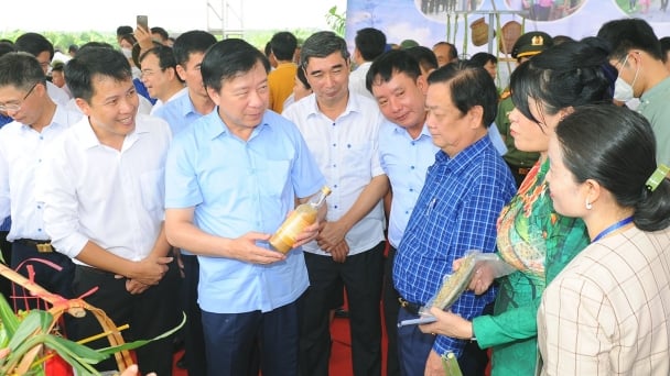 Lan tỏa tư duy kinh tế nông nghiệp vị nhân sinh từ mô hình lúa rươi