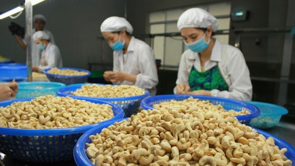 Doanh nghiệp Việt nhận mail lừa đảo cao nhất Đông Nam Á