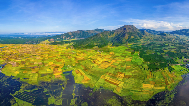 Phát triển Tây Nguyên dựa trên 4 trụ cột gắn với kinh tế rừng