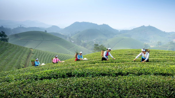 Chính phủ cho phép hoạt động du lịch trên đất nông nghiệp