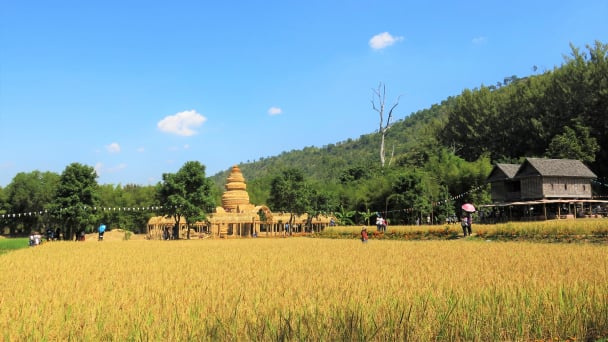 Giá gạo Thái Lan tăng 15% trong vòng 4 tháng