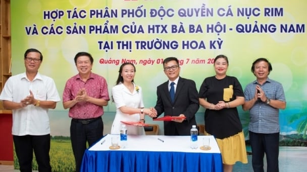 10 tấn cá nục rim Bà Ba Hội đầu tiên xuất khẩu chính ngạch sang Mỹ