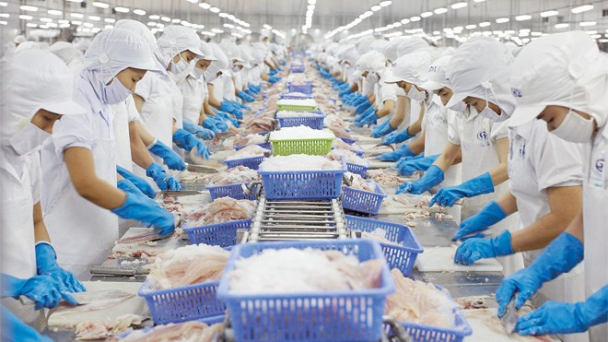 Muốn xuất khẩu thủy sản sang EU, doanh nghiệp phải được Bộ NN-PTNT đăng ký