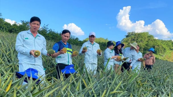 Khuyến nông cộng đồng thu hút hơn 4.000 thành viên