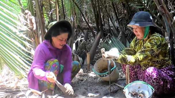 'Săn' chem chép, thu nhập trên 500.000 đồng/ngày