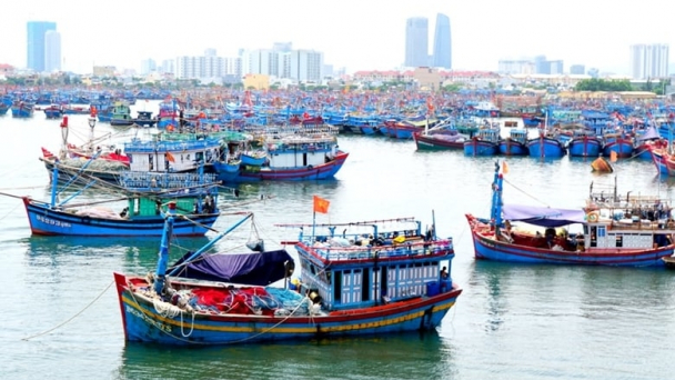 Giảm sản lượng khai thác thủy sản xuống còn 2,8 triệu tấn/năm