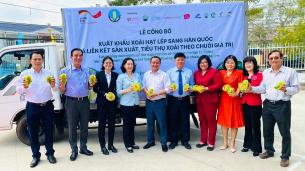 An Giang công bố xuất khẩu 13 tấn xoài hạt lép sang Hàn Quốc