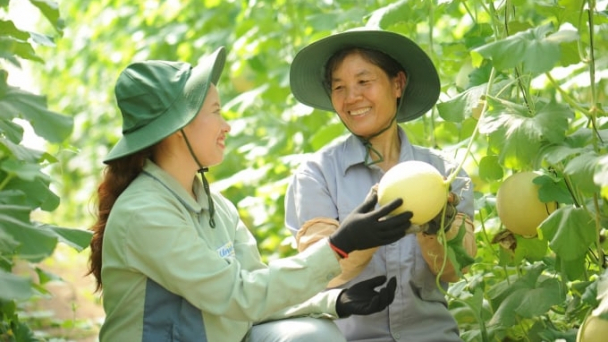 Diện tích canh tác hữu cơ chỉ chiếm 4% quỹ đất nông nghiệp cả nước