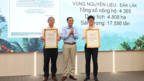 4.800ha được chứng nhận sản xuất cà phê tuân thủ EUDR