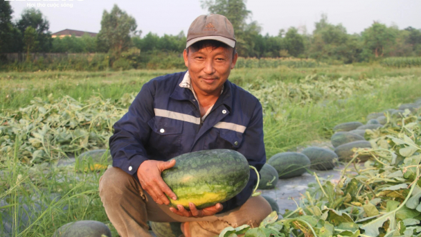 Nghị định thư xuất khẩu dưa hấu sang Trung Quốc sắp có hiệu lực