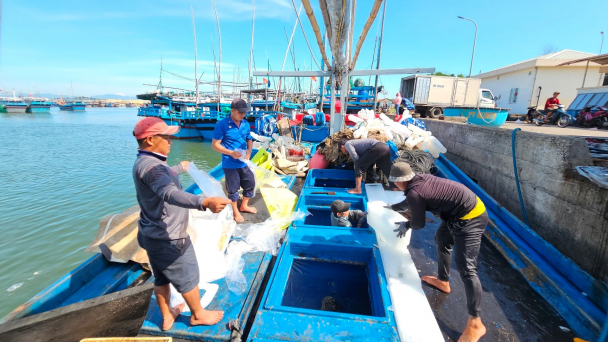 Phát triển nguồn lợi thủy sản Phú Yên bền vững