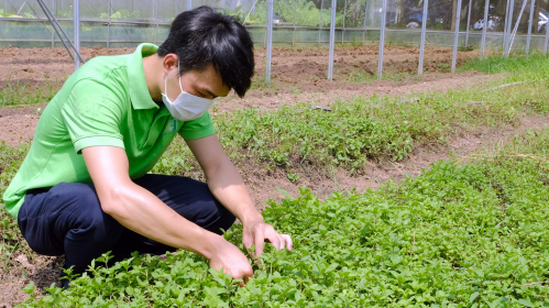 Responsible agriculture: From the view of plant health