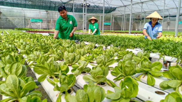 Vietnam takes lead in plant health approach