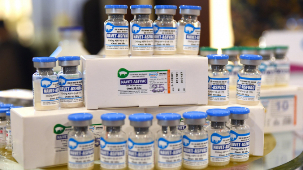 Vietnam officially announces successful production of a vaccine against African Swine Fever