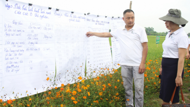 IPHM application helps reduce costs and increase profits by 7 million VND/hectare