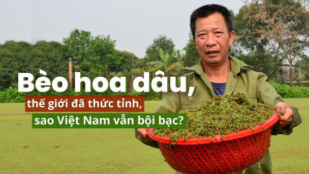 Phát hiện gây chấn động ở Bắc Băng dương