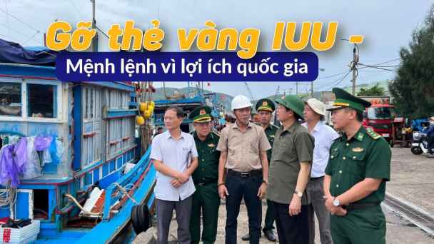 Không hình thức, đối phó