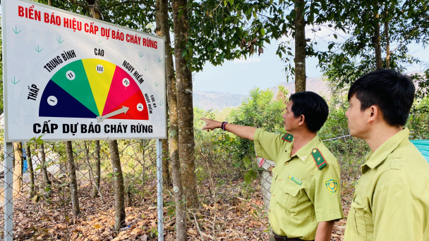 Ngày đêm bám trụ bảo vệ rừng mùa khô