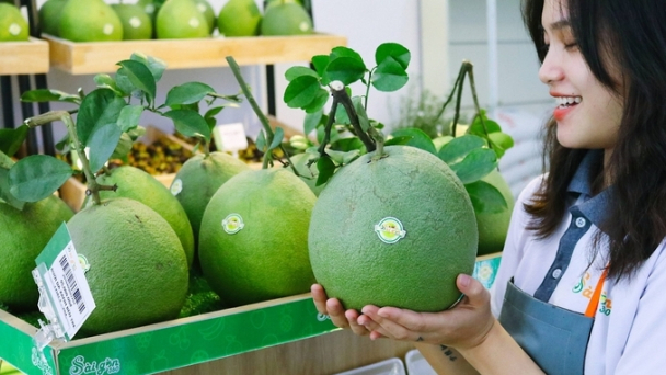 Chuẩn lại các quy trình canh tác
