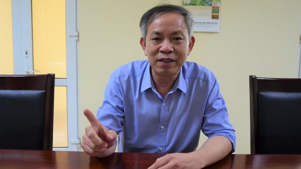 Nhập đậu tương làm thức ăn chăn nuôi không đồng nghĩa với làm thực phẩm