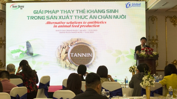 Các giải pháp thay thế kháng sinh