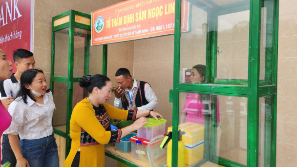 Phát hiện 2kg sâm Ngọc Linh nghi là giả chuẩn bị đưa vào hội chợ
