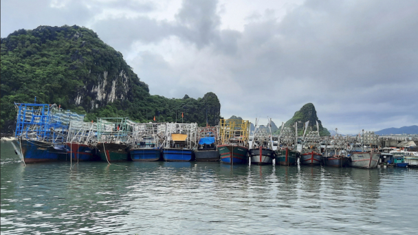 Quảng Ninh cần nhanh chóng, quyết liệt hơn để gỡ thẻ vàng IUU
