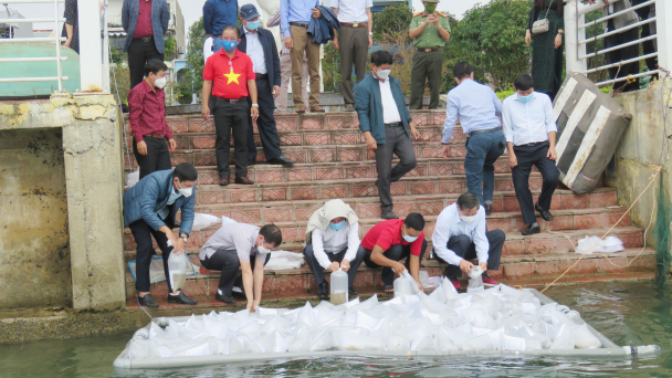 Thả 95 vạn con tôm sú giống tái tạo nguồn lợi thủy sản