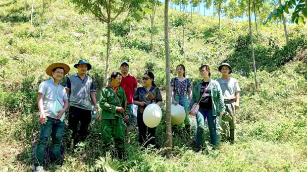 Đưa lát hoa thành gỗ lớn, khó nhưng có triển vọng