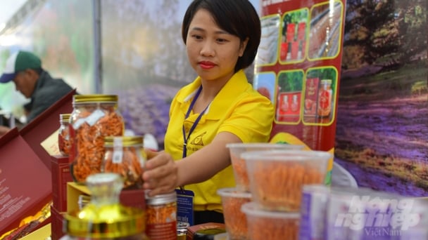 Doanh nghiệp vùng Tây Nguyên kết nối giao thương với thị trường tỷ dân