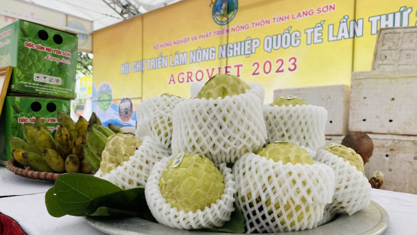 Khai mạc Hội chợ triển lãm Nông nghiệp Quốc tế lần thứ 23 - AgroViet 2023